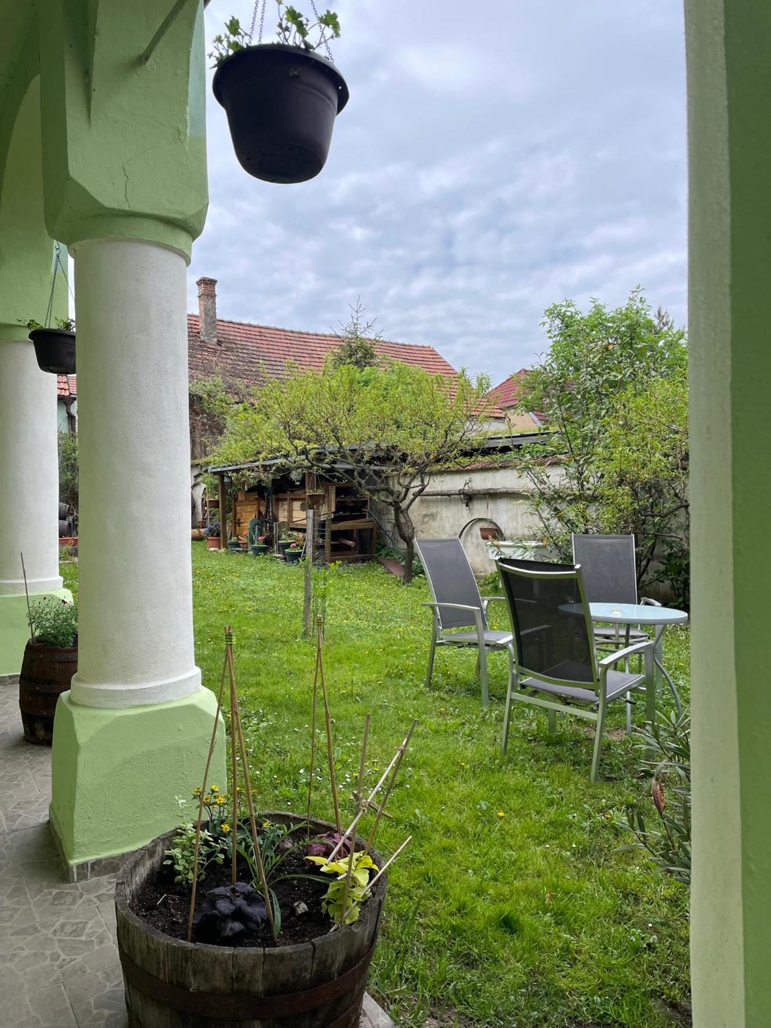 Na Upati Palavy Hotell Horni Vestonice Exteriör bild